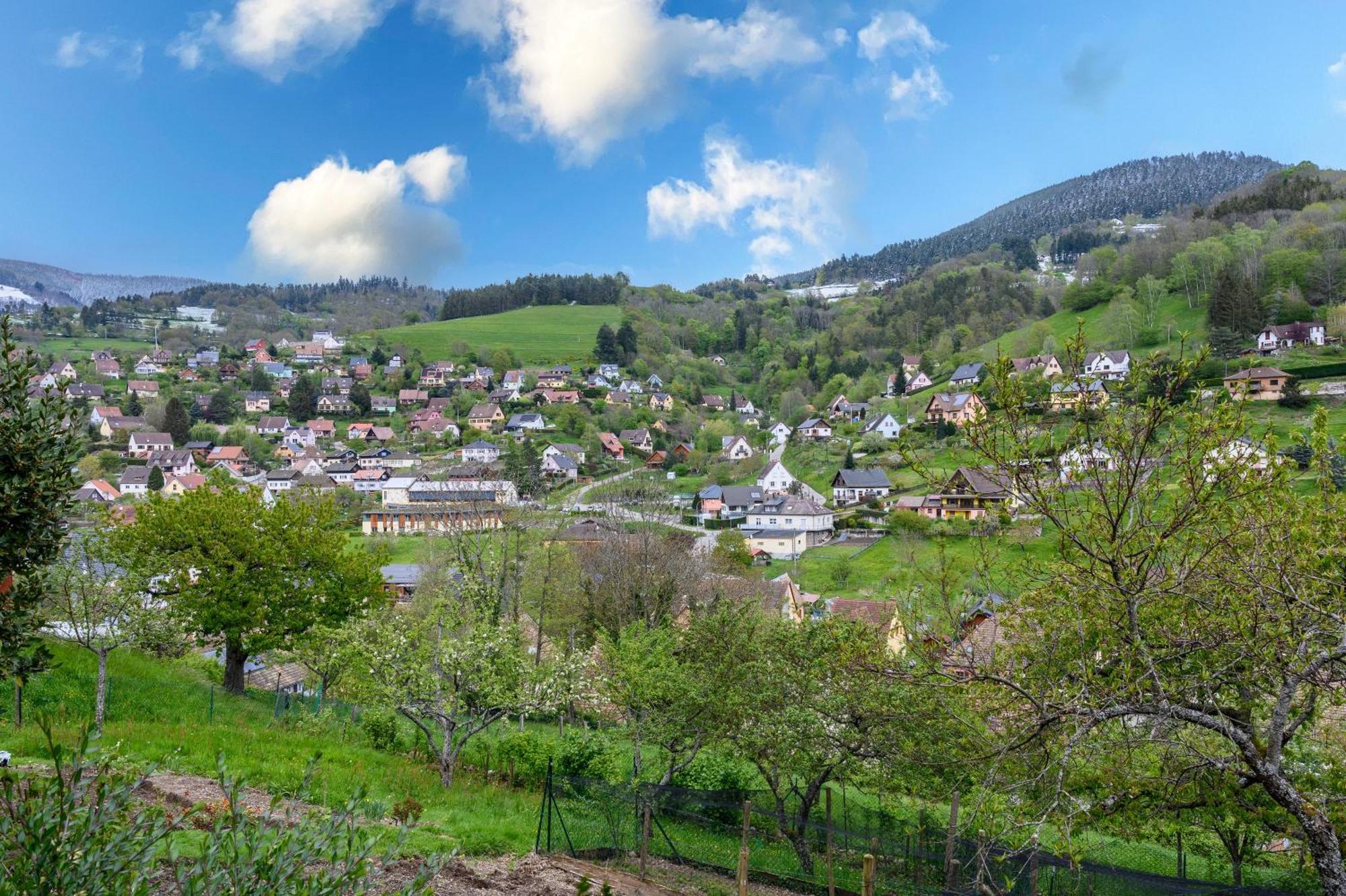 Appartement En Montagne Vosges Alsaciennes *